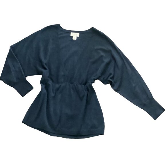 Ann Taylor LOFT M V-Neck Merino Wool-Acrylic-Cashmere Sweater Knit Top Blue 184M - Picture 1 of 7